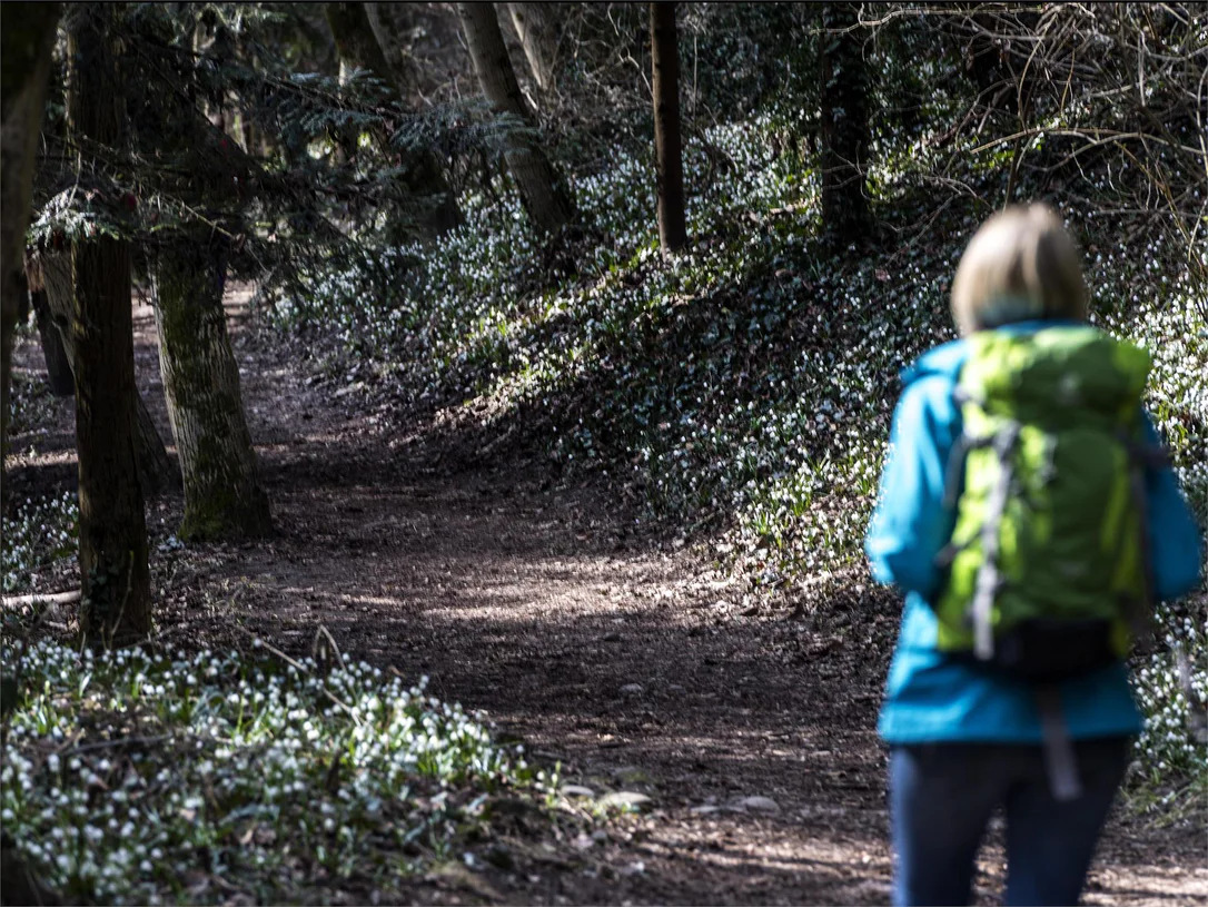 Große Frühlingstal-Wanderung