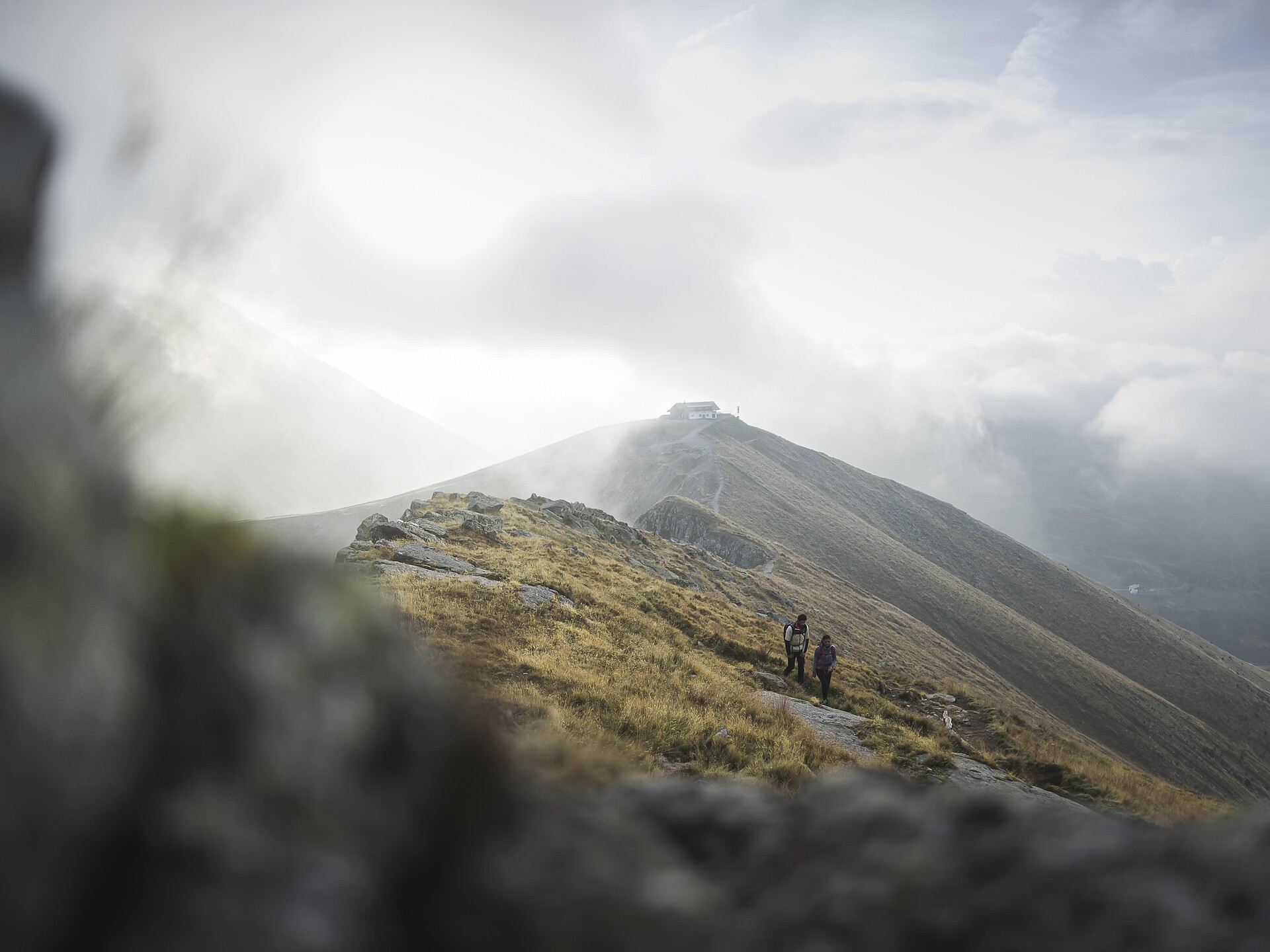 Tour to the small Ifinger Peak - Meran/Merano and environs - #3 - suedtirol.info
