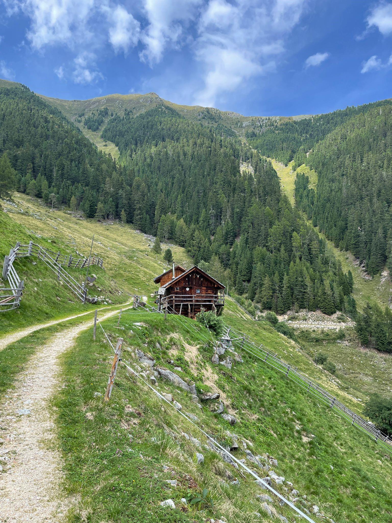 Area barbecue Rasun di Sopra alla Malga Laner Rasun Anterselva 1 suedtirol.info