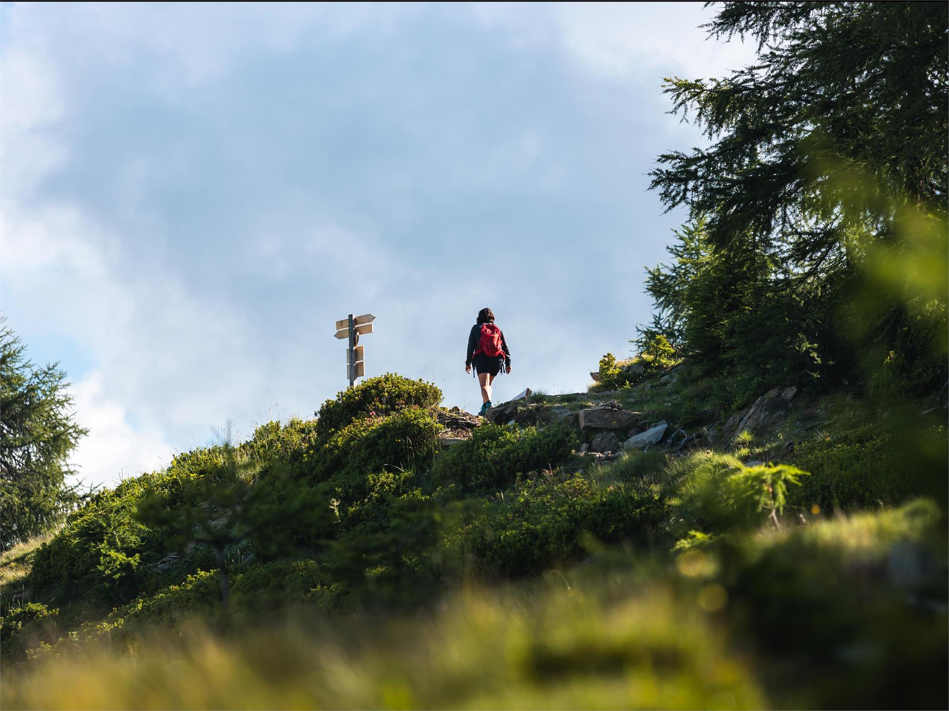 Gemütlicher Almspaziergang zur Hirzerhütte Schenna 2 suedtirol.info