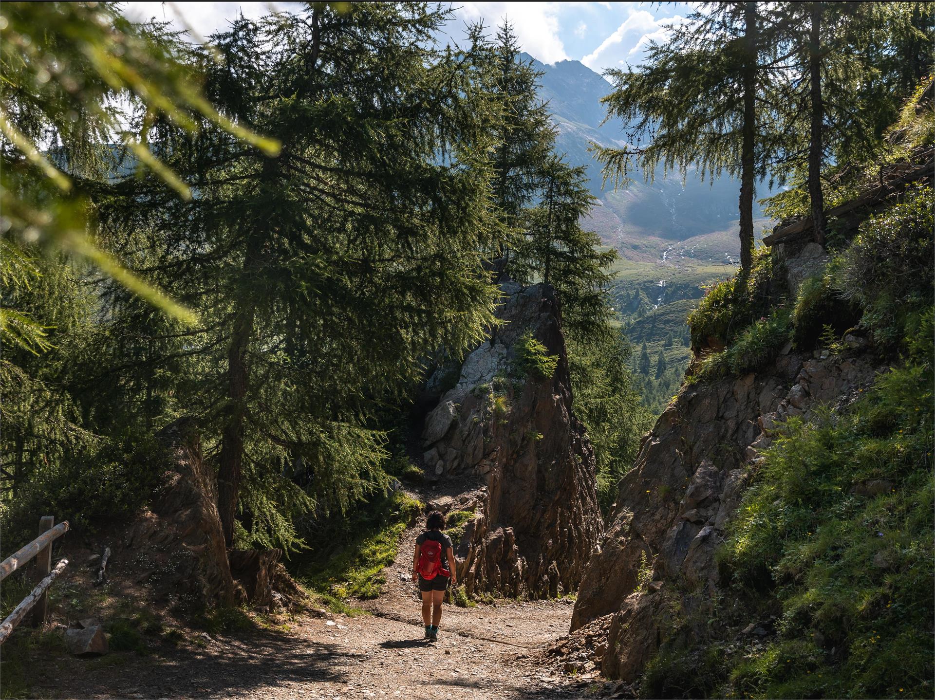 Gemütlicher Almspaziergang zur Hirzerhütte Schenna 1 suedtirol.info