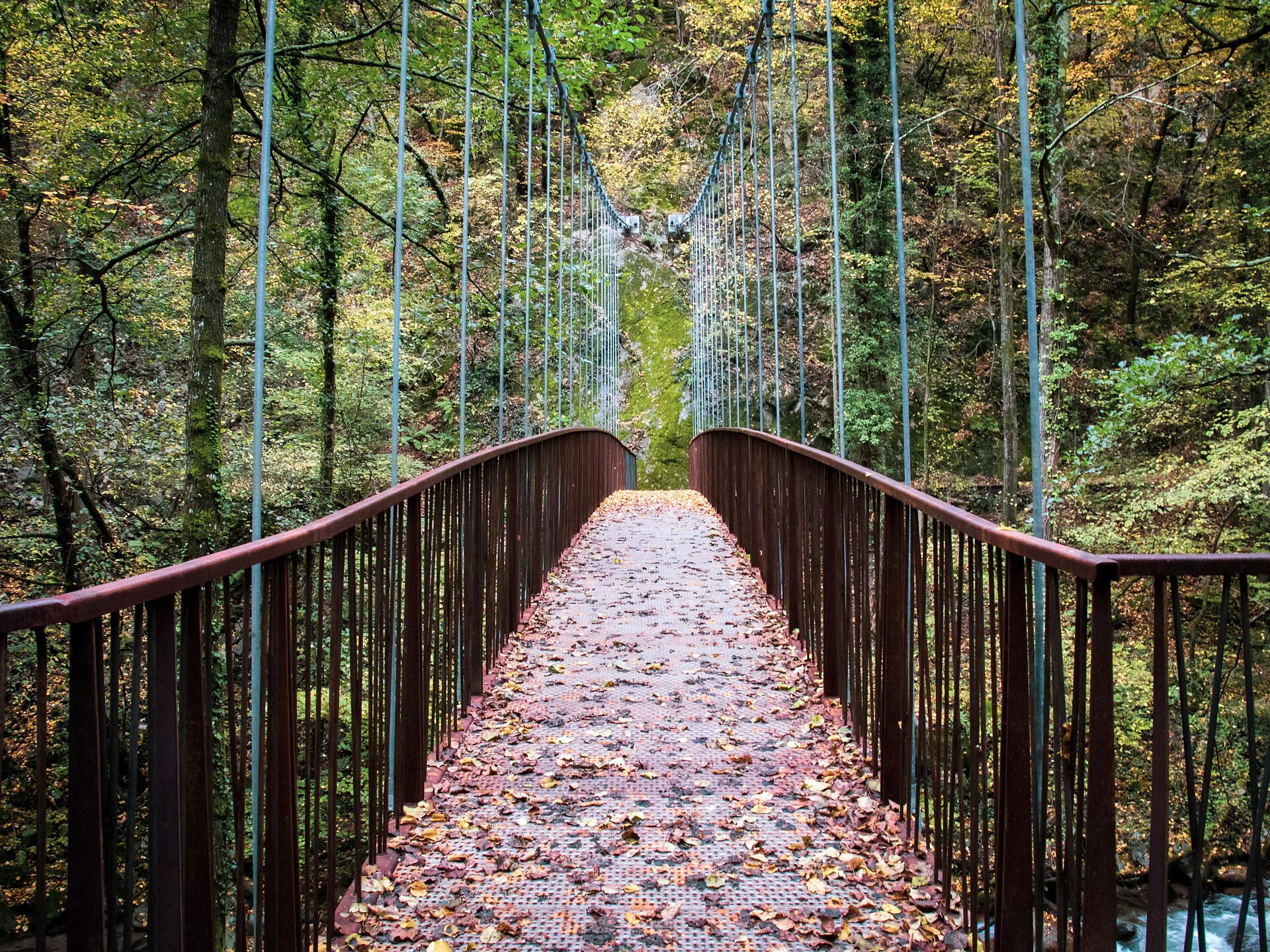 Gaulschlucht