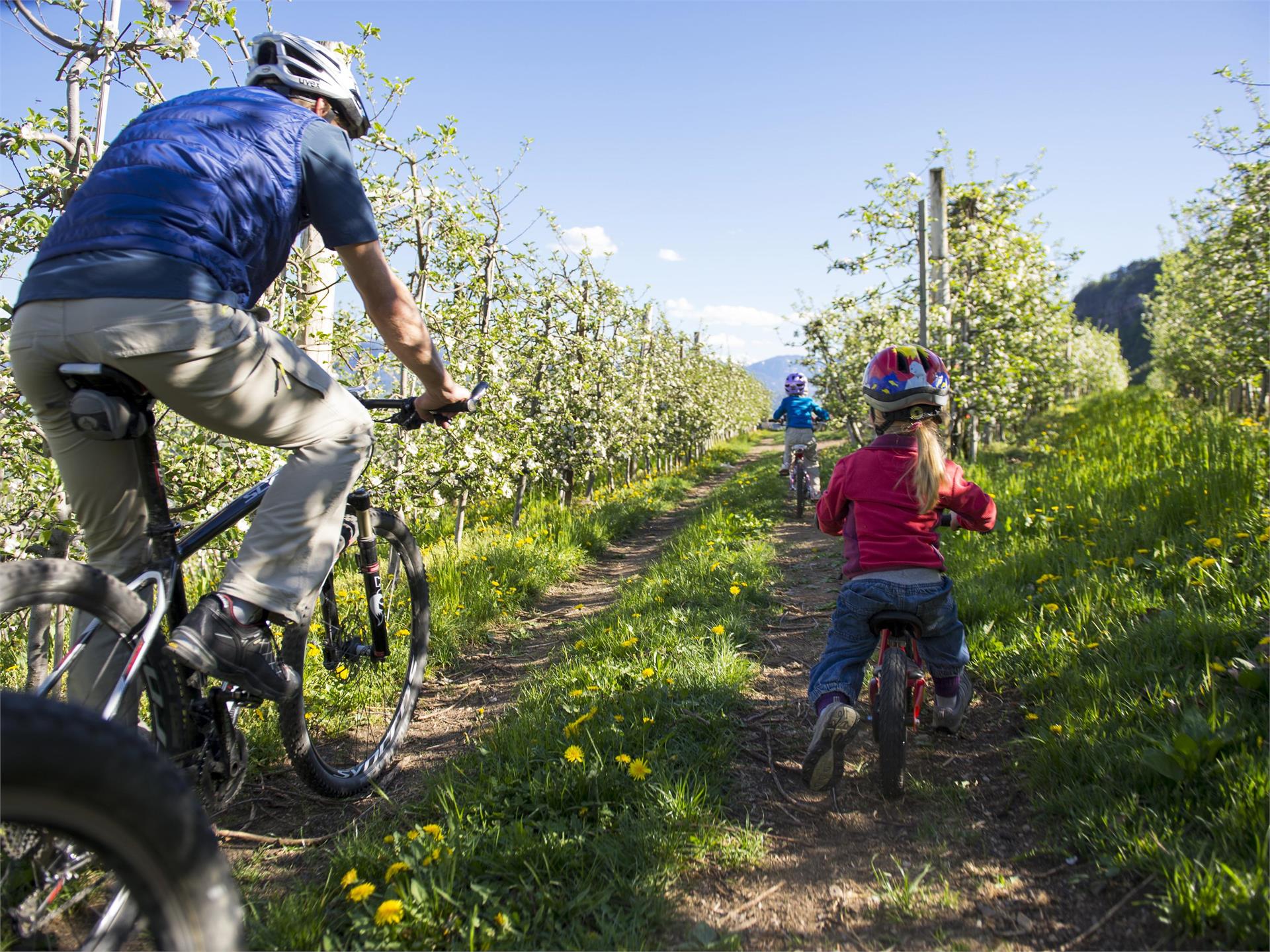 Tour attraverso la Val d'Adige da Nalles Nalles 2 suedtirol.info