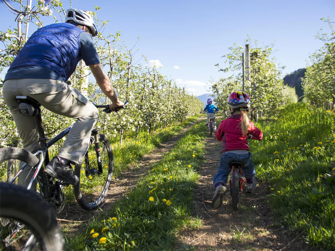 Tour attraverso la Val d'Adige da Nalles