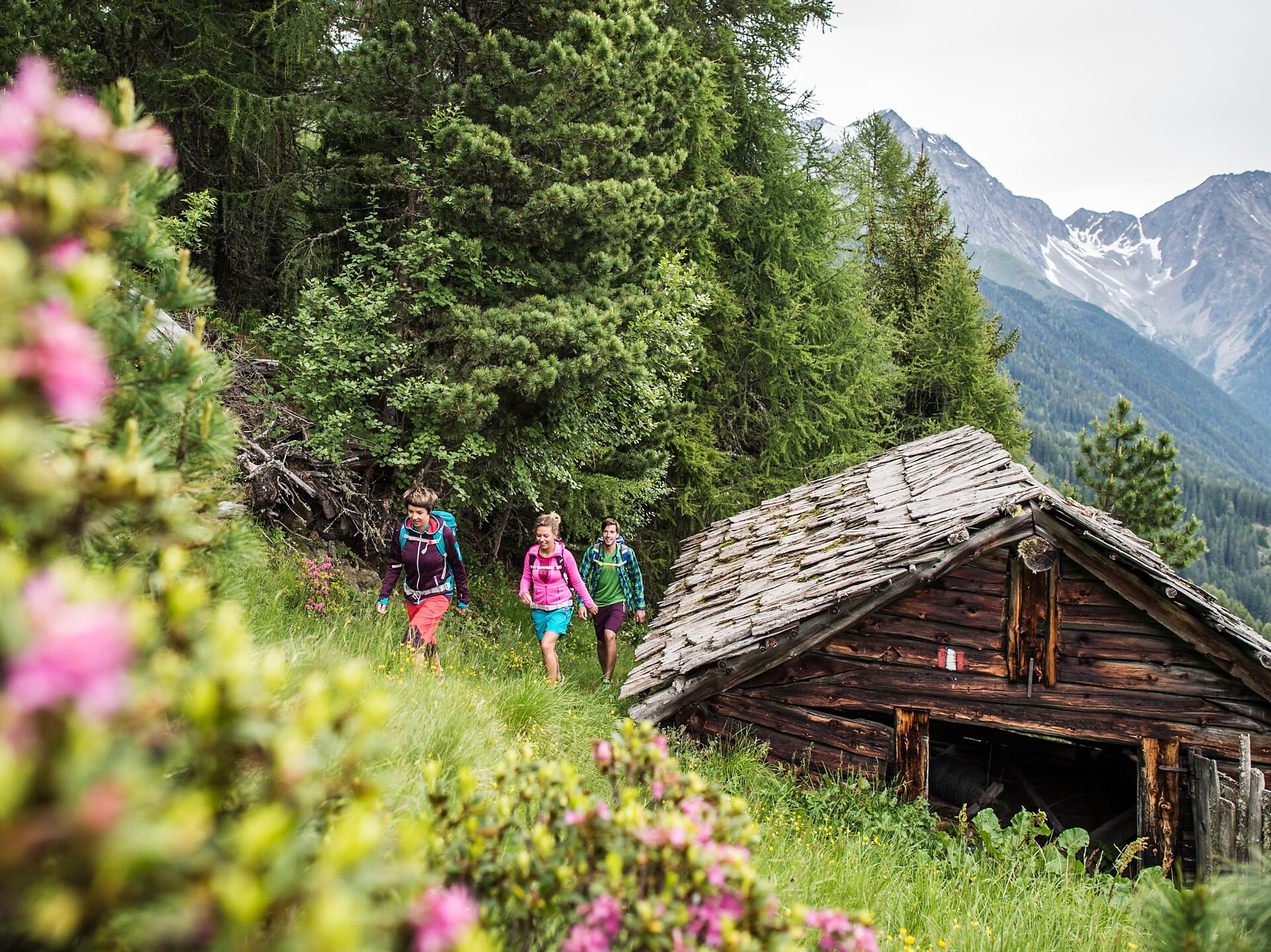 Wanderung zur Grente Alm - Dolomitenregion Kronplatz - #6 - suedtirol.info