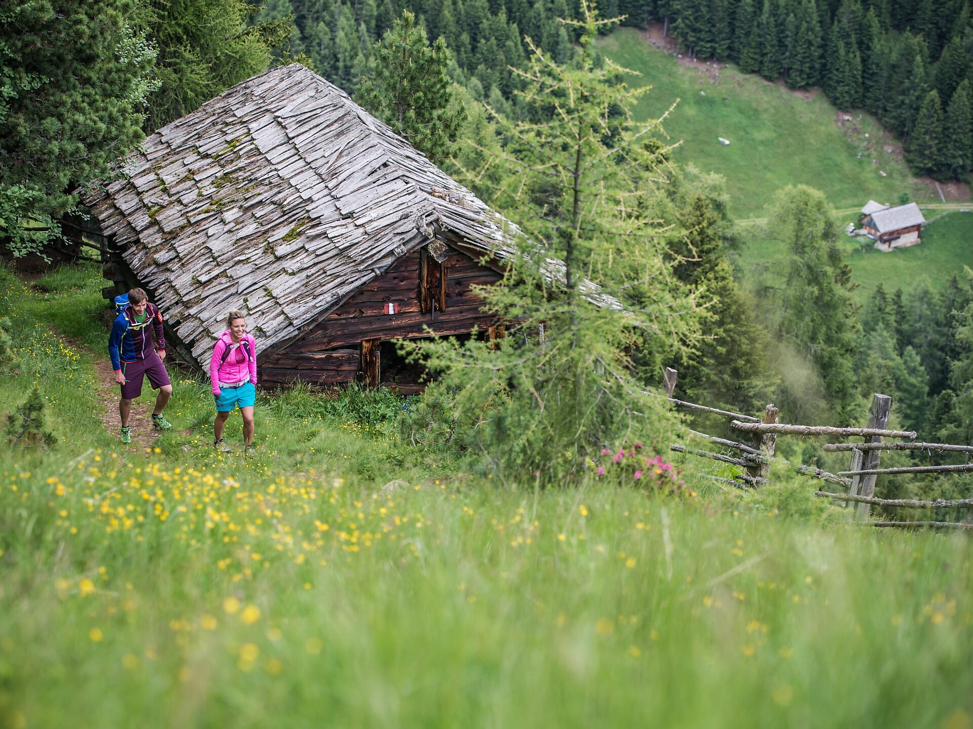 Wanderung zur Grente Alm - Dolomitenregion Kronplatz - #5 - suedtirol.info