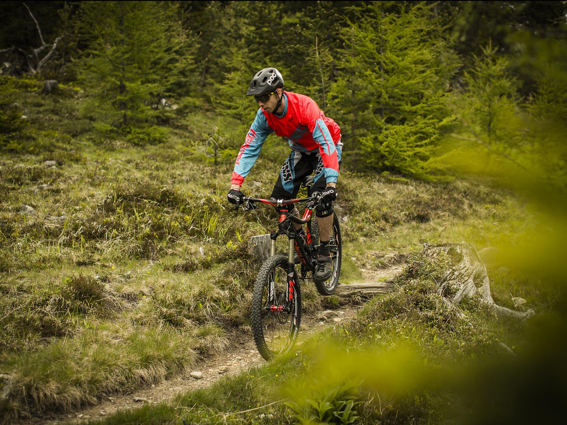 Gerry Trail
