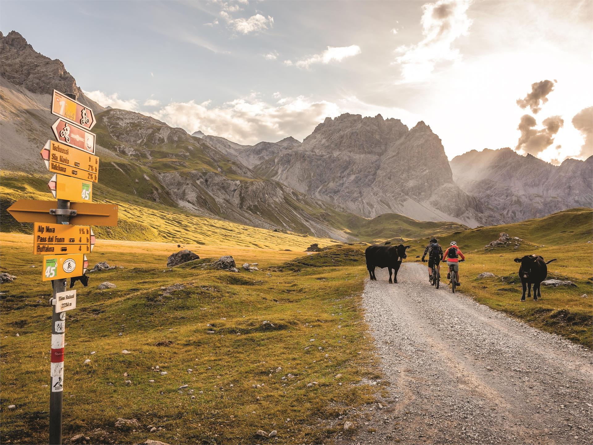 Tour to Pass Gallo - Mora Valley Mals/Malles 1 suedtirol.info