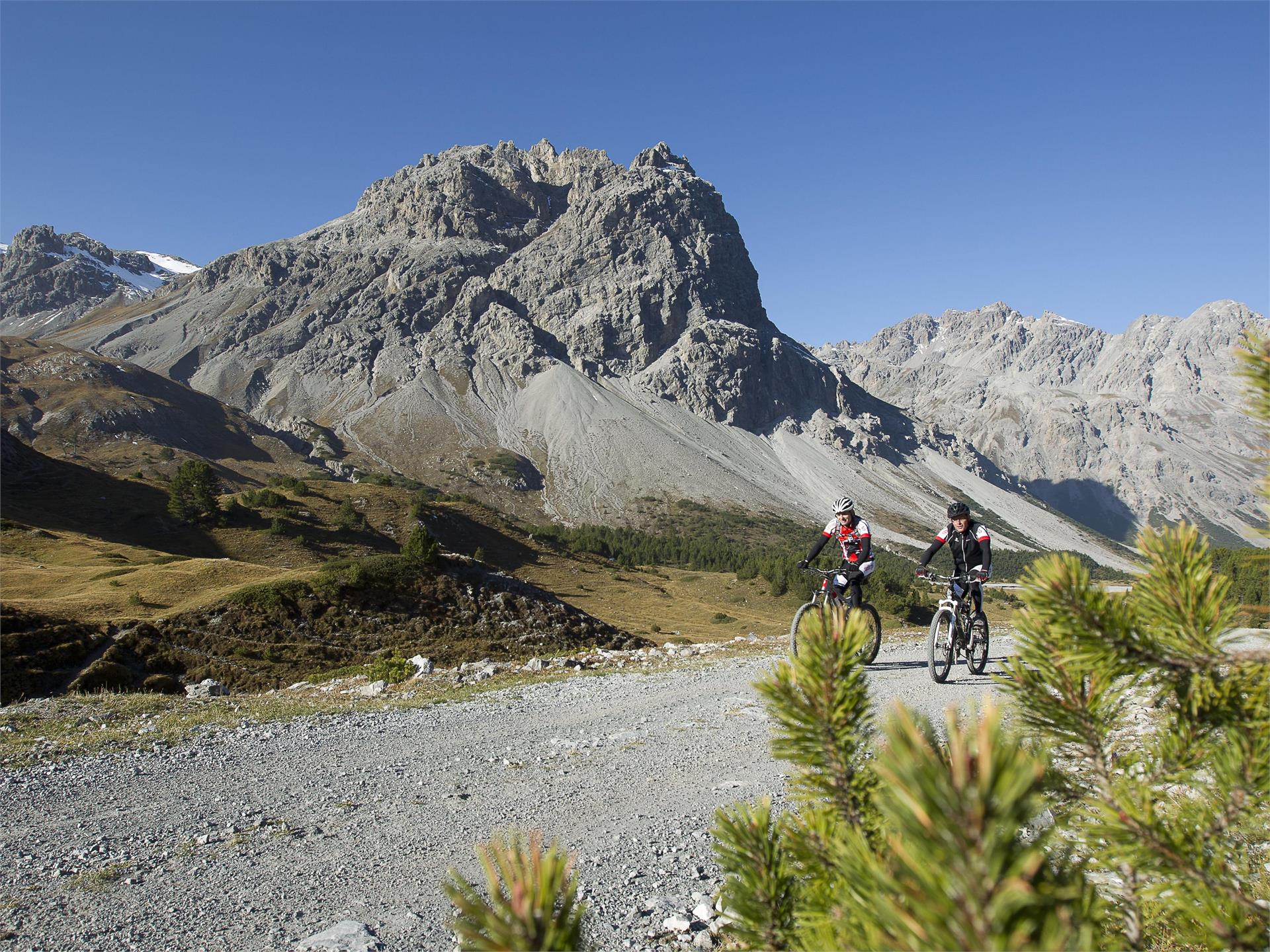Tour to Pass Gallo - Mora Valley Mals/Malles 2 suedtirol.info