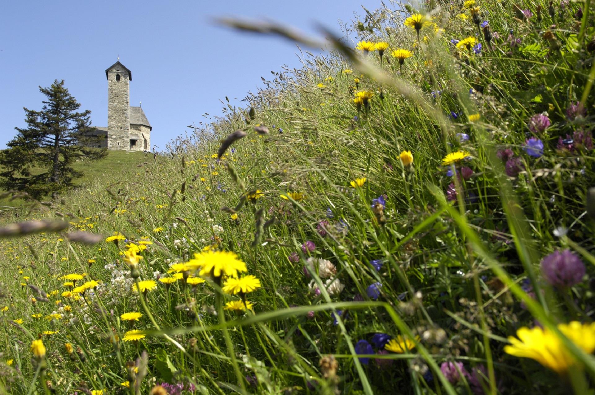 Faith trail - easy and enjoyable - all year round Lana 4 suedtirol.info