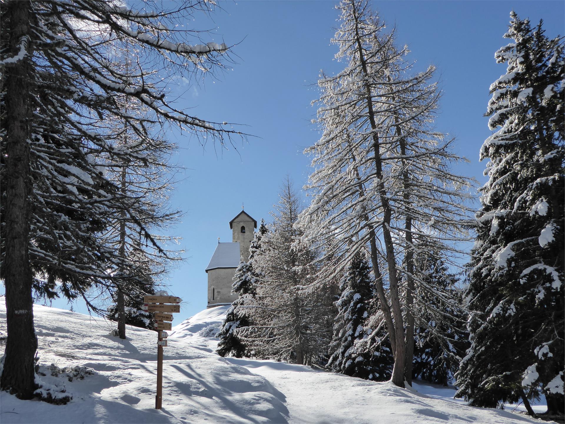 Faith trail - easy and enjoyable - all year round Lana 1 suedtirol.info