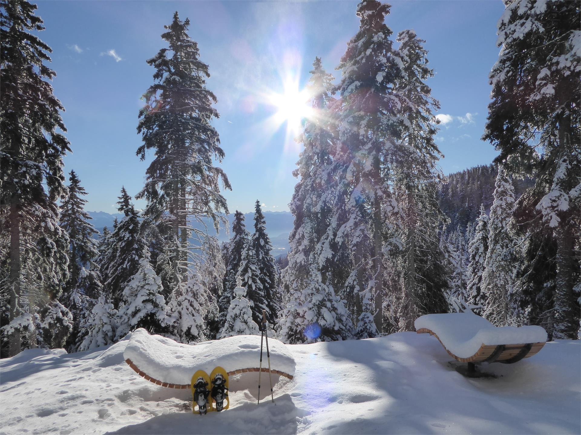 Faith trail - easy and enjoyable - all year round Lana 2 suedtirol.info