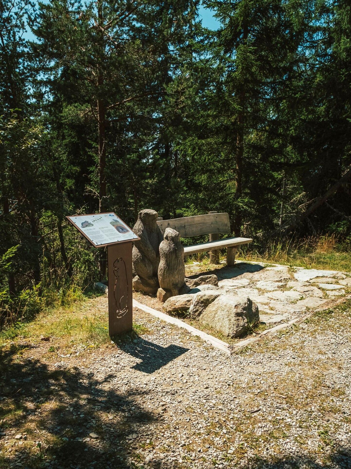 Gipfeltour zur Putzenhöhe - Dolomitenregion Kronplatz - #4 - suedtirol.info