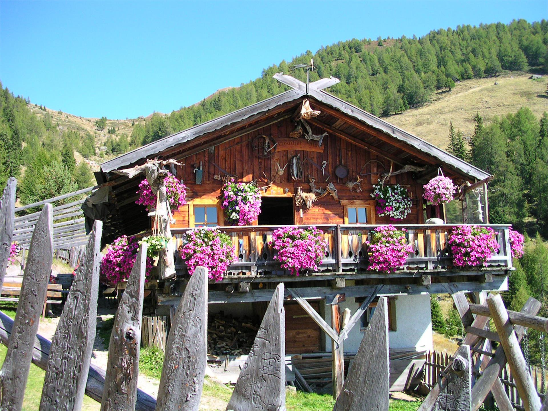 Gipfeltour zur Putzenhöhe Kiens 4 suedtirol.info