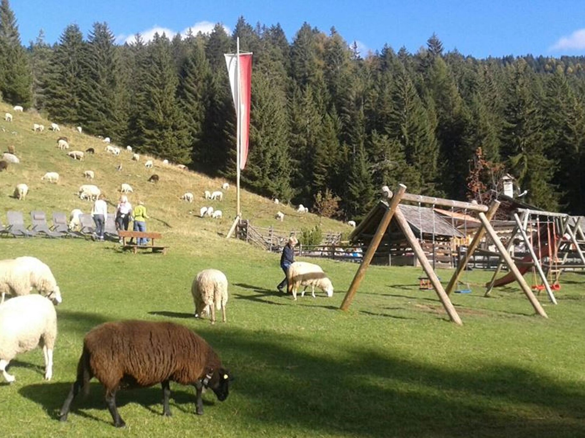 Laneralm