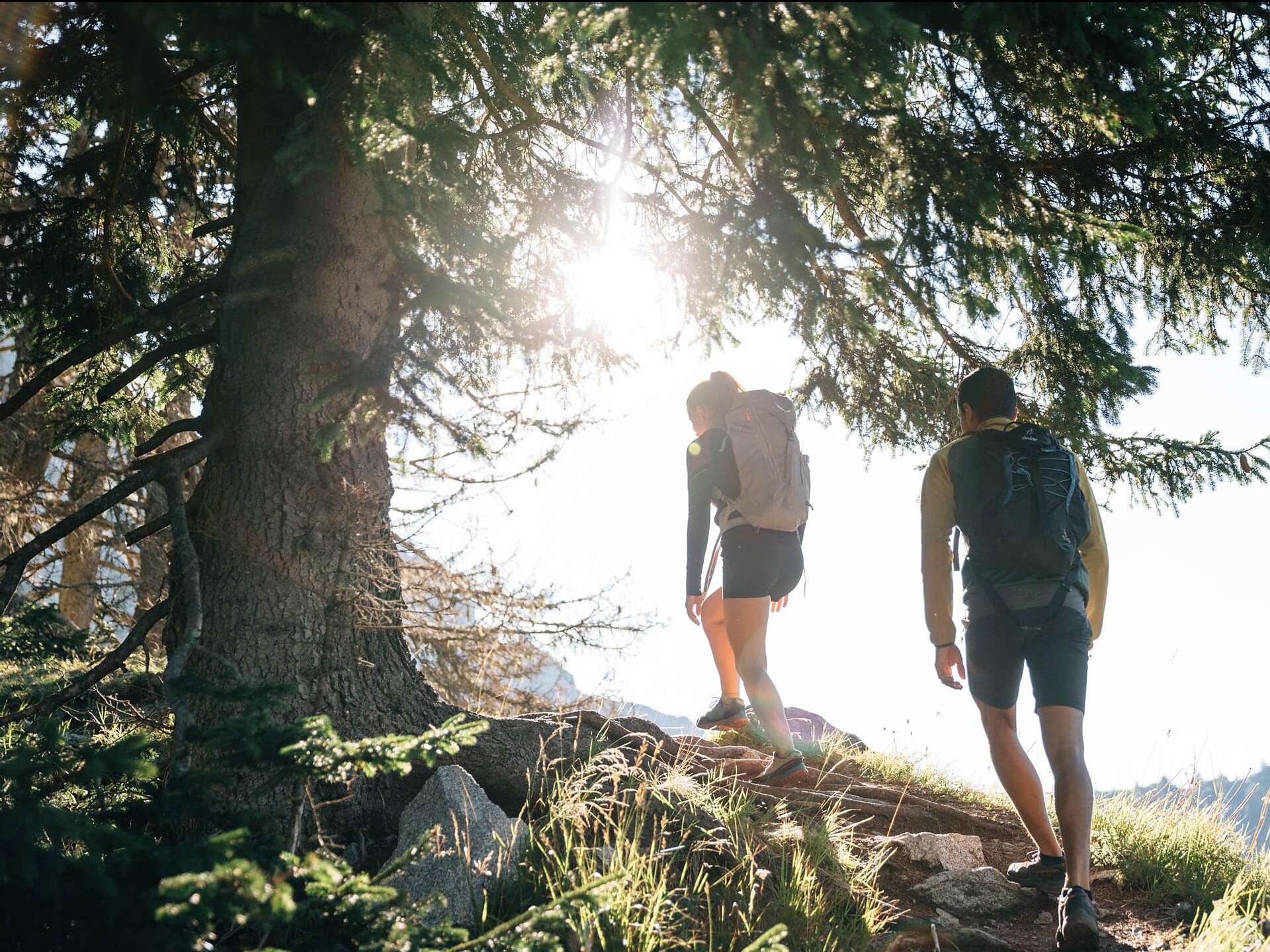 Tour to the Ifinger Peak - Meran/Merano and environs - #3 - suedtirol.info