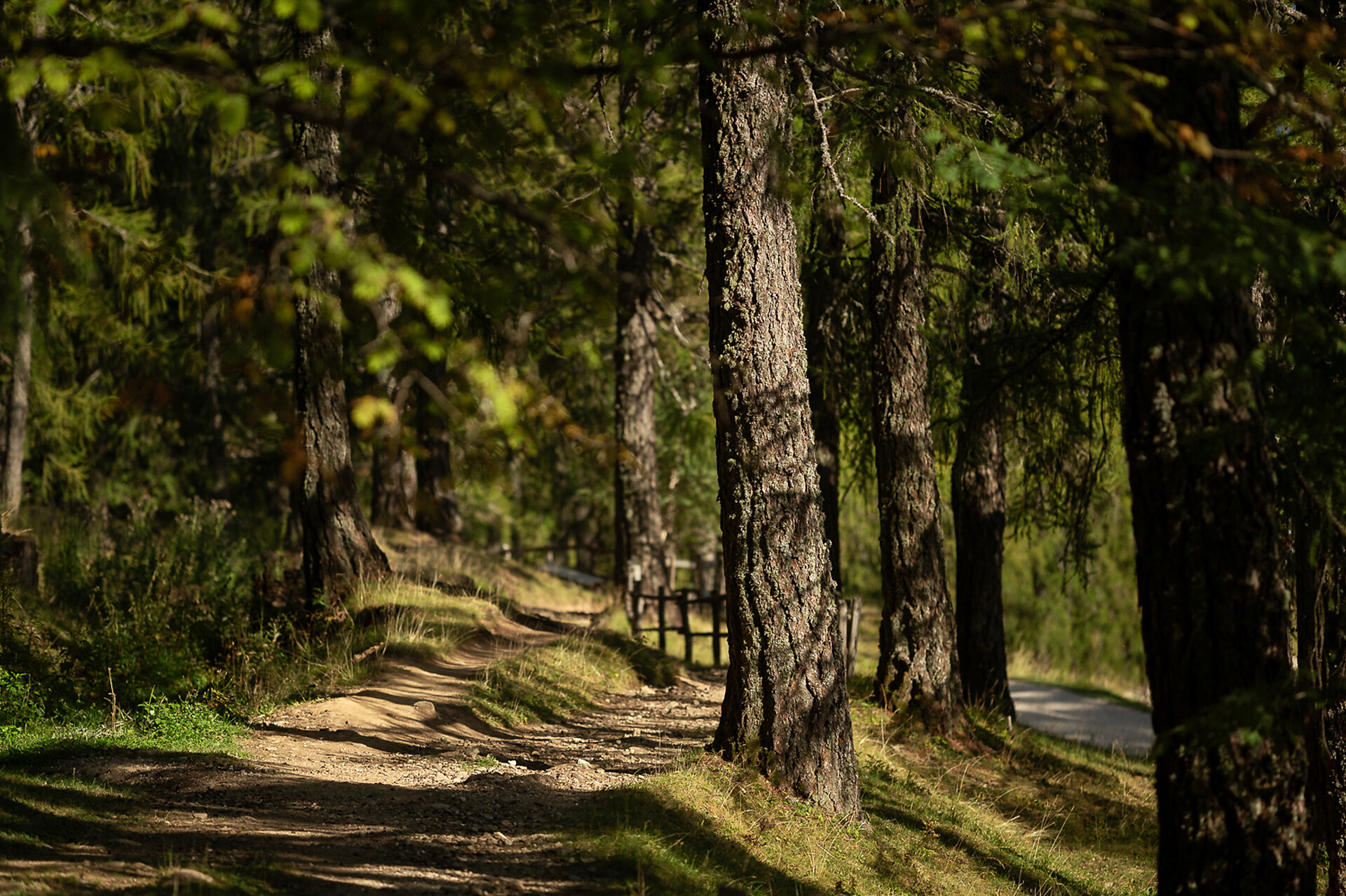 Faith trail "Glaubensweg" on the Vigiljoch - Meran/Merano and environs - #5 - suedtirol.info