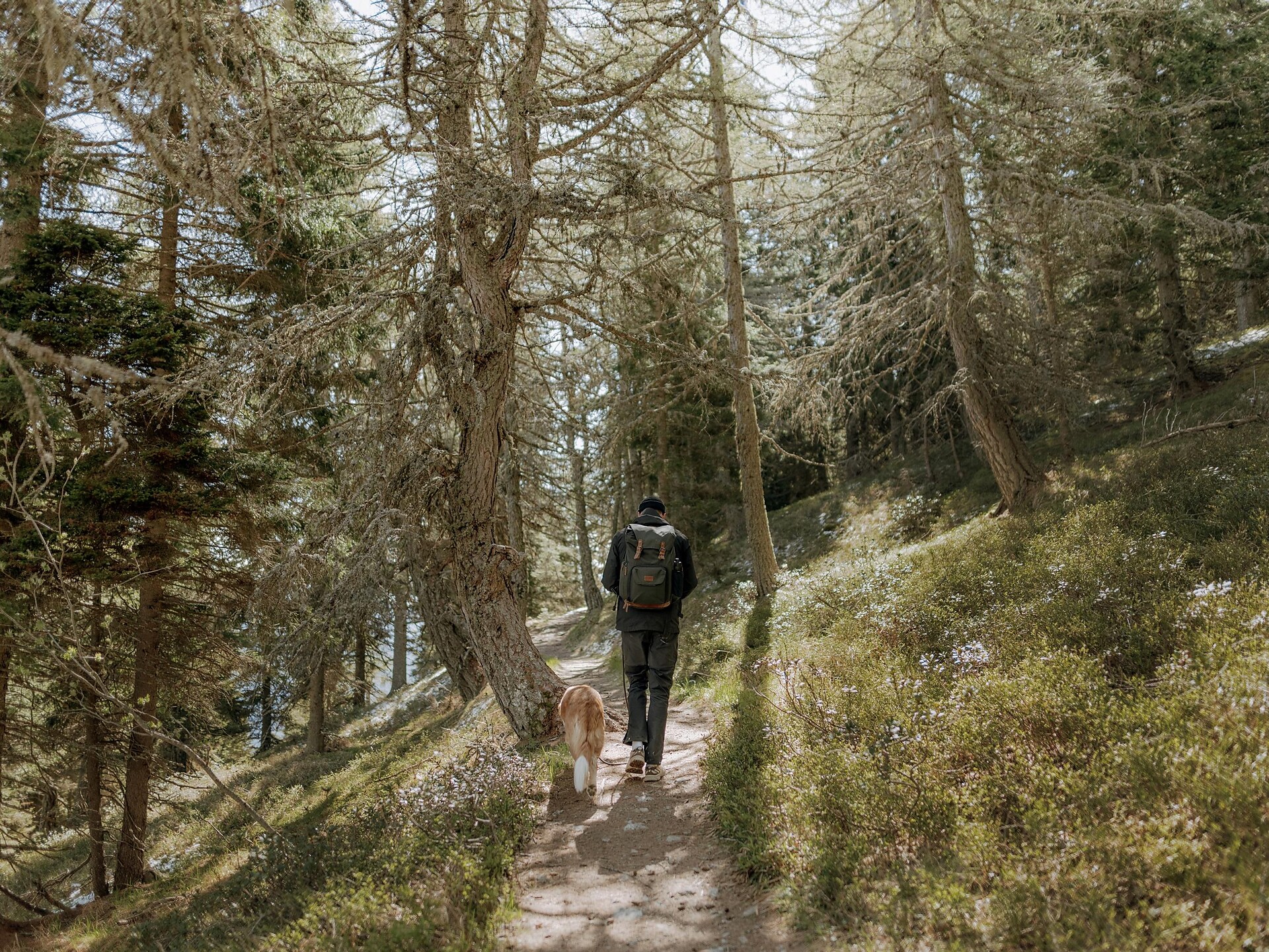 Faith trail "Glaubensweg" on the Vigiljoch - Meran/Merano and environs - #6 - suedtirol.info