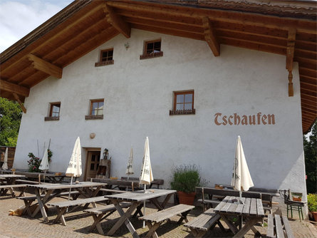 restuarant Edelweiss (Jenesieno) - restaurant Tschaufen Jenesien/San Genesio Atesino 5 suedtirol.info