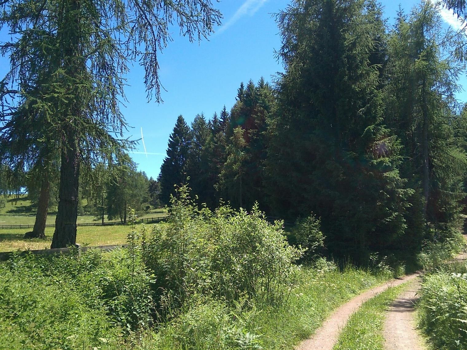 Sentiero Tschaufen