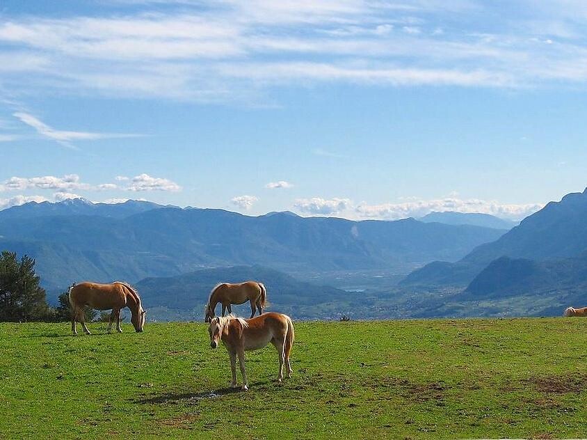 Vista panoramica Tschaufen