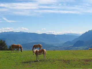 Panorama Tschaufen