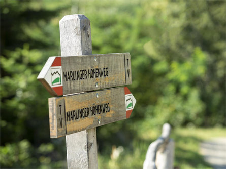 Pleasure Hiking in Marling Marling/Marlengo 2 suedtirol.info