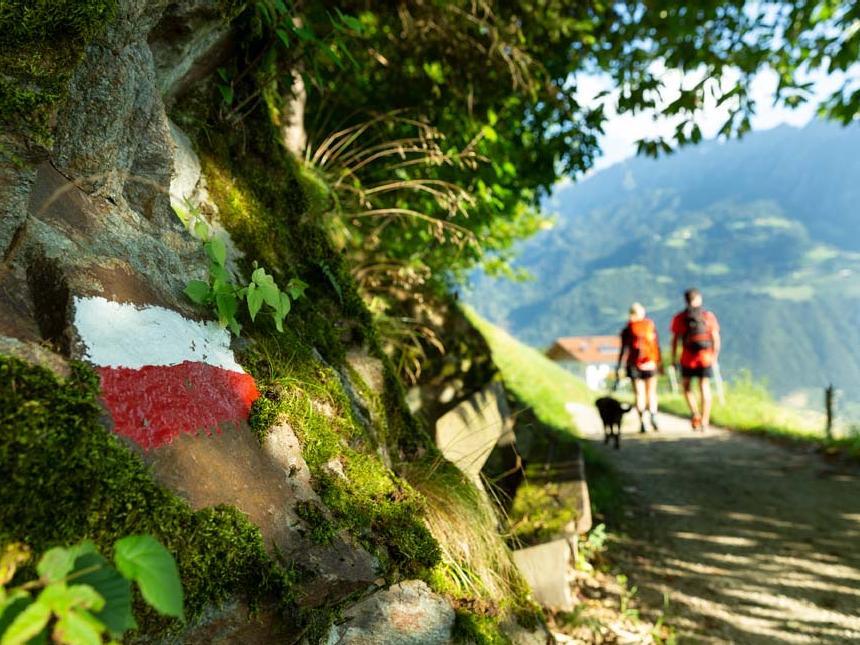 Pleasure Hiking in Marling Marling/Marlengo 3 suedtirol.info