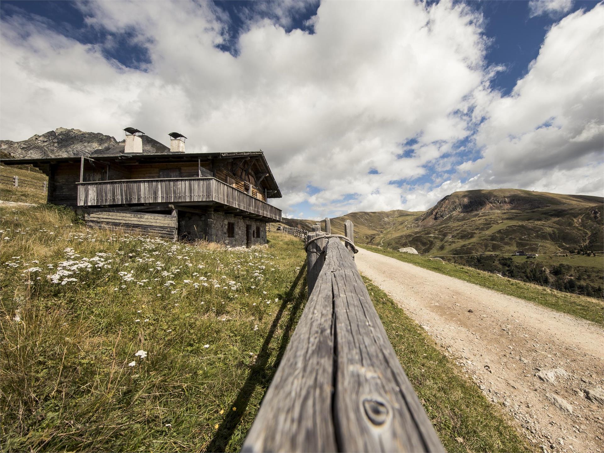 Gemütliche Hüttenwanderung auf Meran 2000 Hafling 1 suedtirol.info