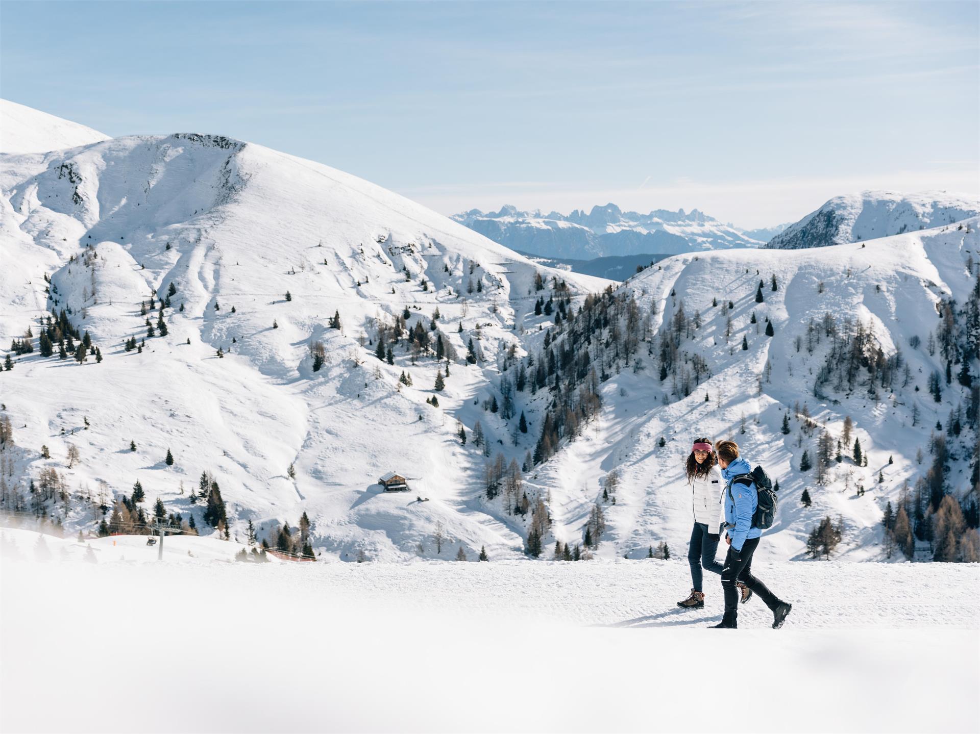 Gemütliche Hüttenwanderung auf Meran 2000 Hafling 4 suedtirol.info