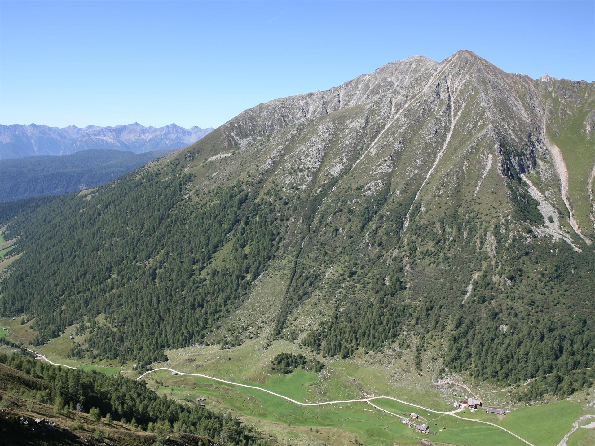 Cima Gaisjoch: Un'escursione sulle tracce dei camosci Rio di Pusteria 1 suedtirol.info