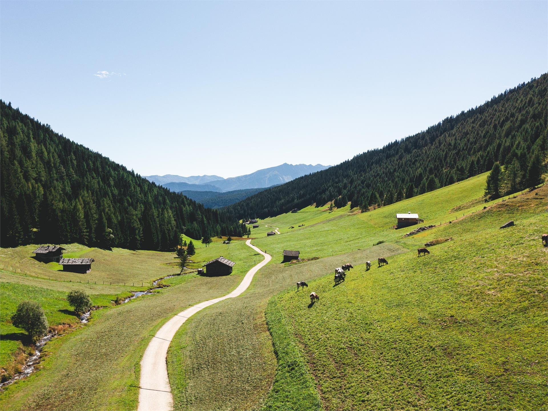 Cima Gaisjoch: Un'escursione sulle tracce dei camosci Rio di Pusteria 4 suedtirol.info