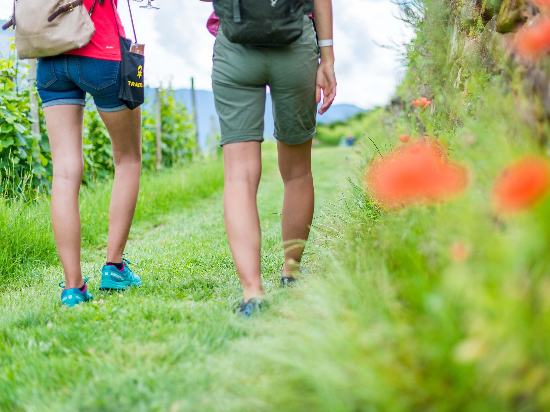 Gewürztraminer Weg - Südtiroler Weinstraße - #2 - suedtirol.info
