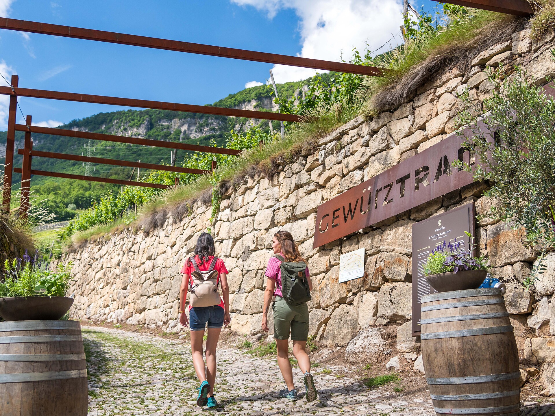 Gewürztraminer Weg - Südtiroler Weinstraße - #1 - suedtirol.info