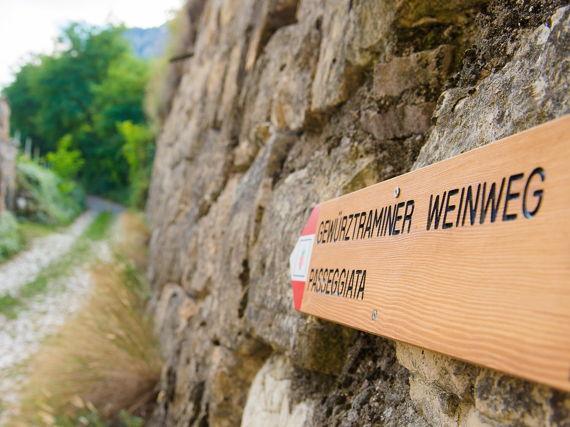 Gewürztraminer Weg - Südtiroler Weinstraße - #3 - suedtirol.info