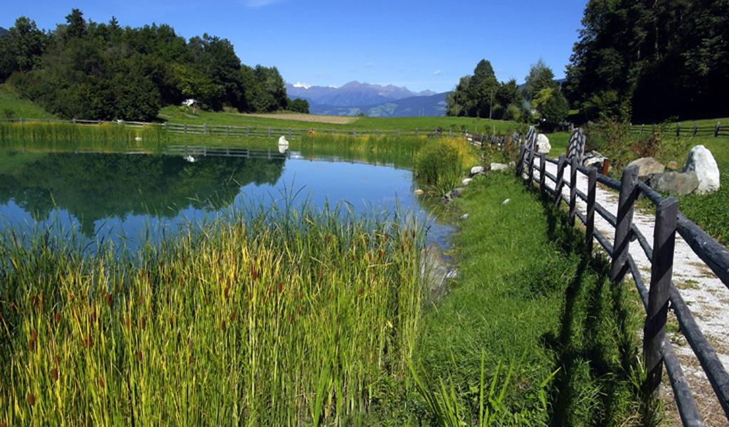 Sentiero geologico - Percorso circolare laghetto "Mesner Lacke" Funes 2 suedtirol.info
