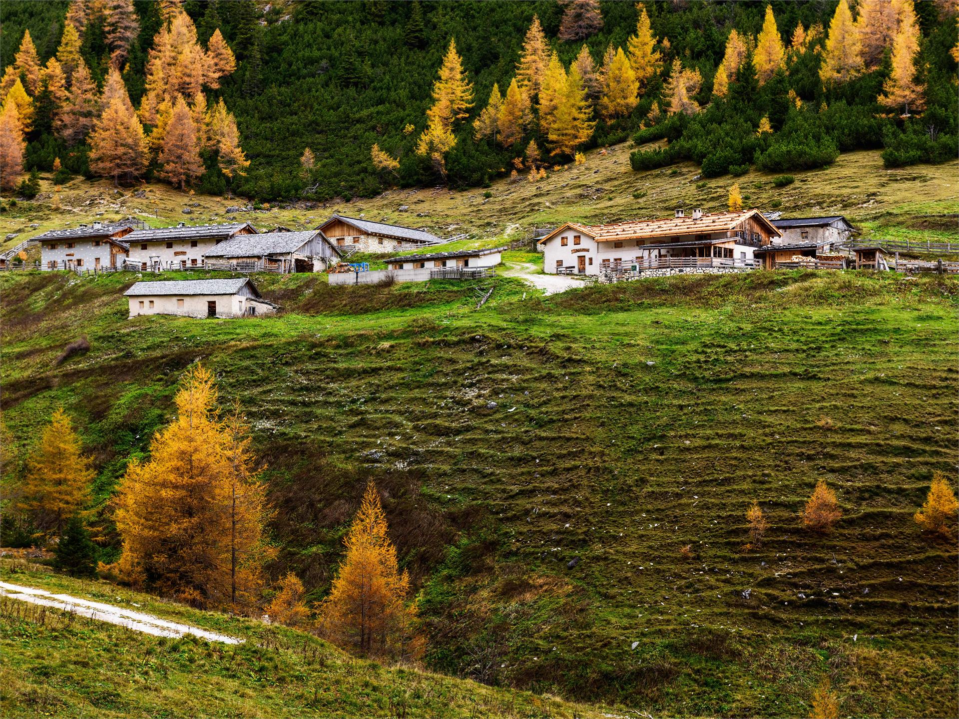 Gottschalkweg Vallming Brenner 1 suedtirol.info