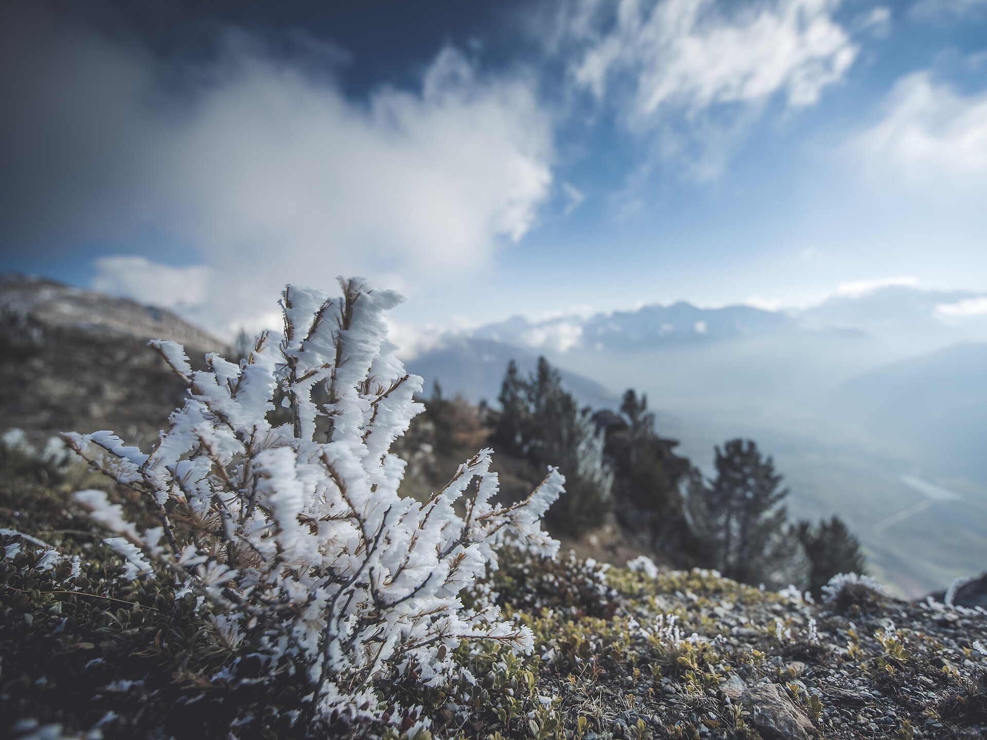 Summit tour Runerköpfl - Vinschgau/Val Venosta - #1 - suedtirol.info