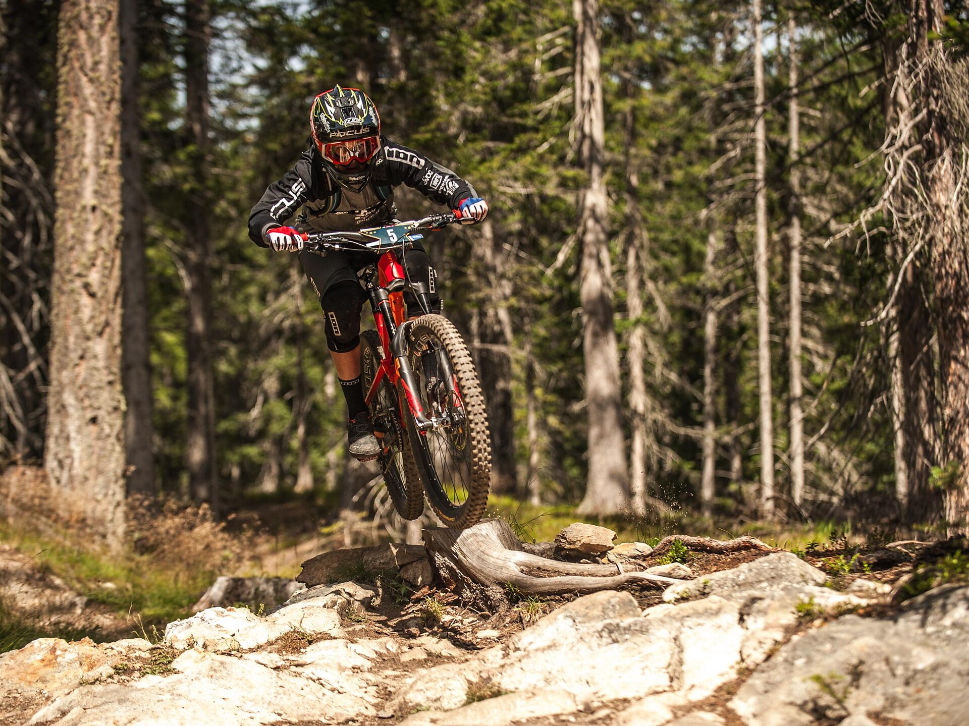 Grein Trail