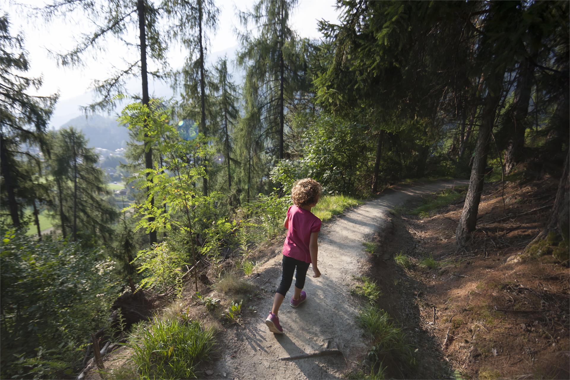 Sentiero naturalistico Nittweg Prato allo Stelvio 1 suedtirol.info