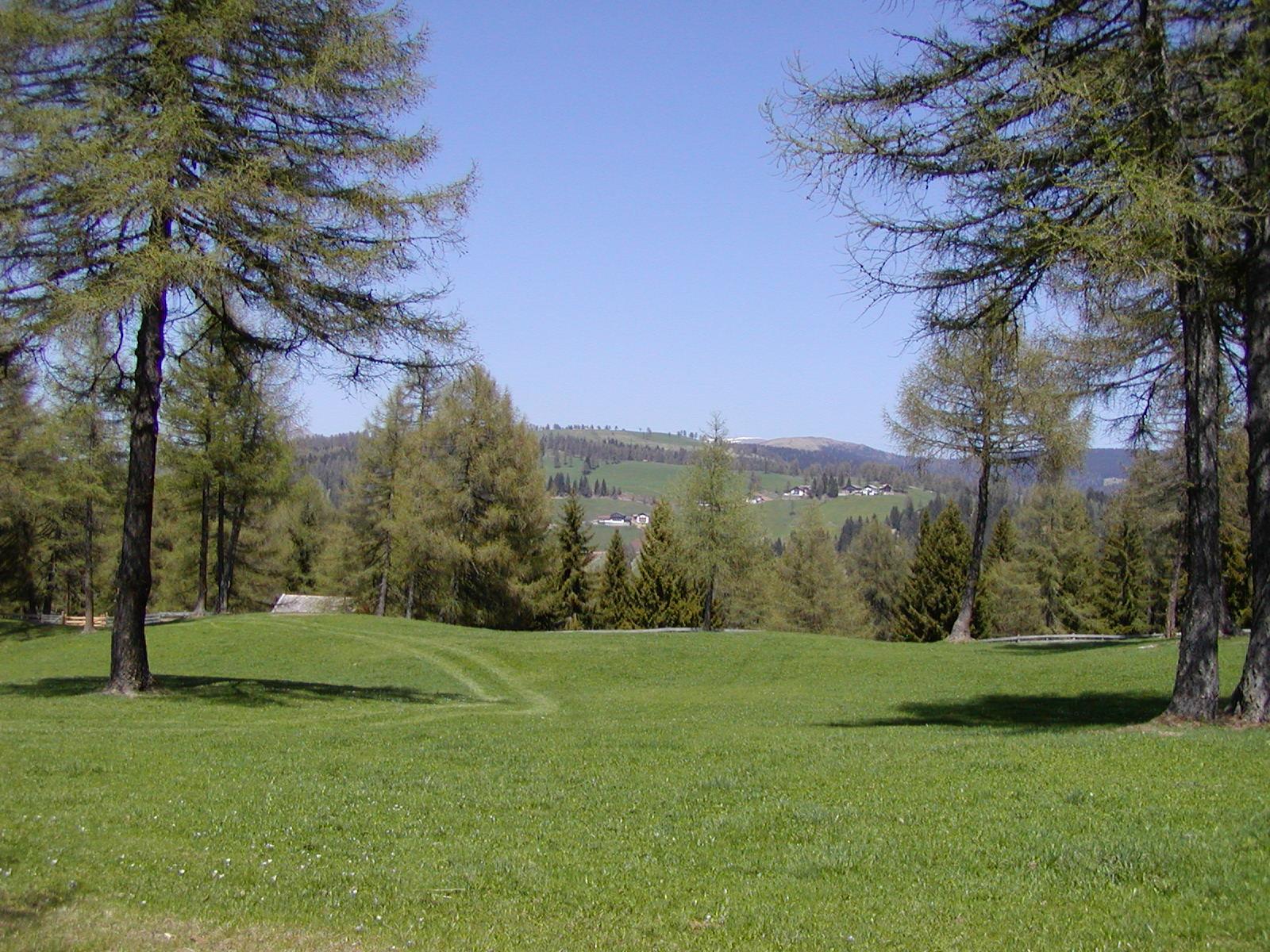 Avelengo - Parcheggio Grüner Baum Verano 1 suedtirol.info