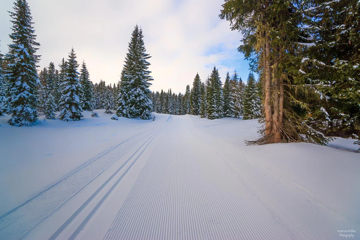 Höhenloipe Dorfberg Sexten/Sesto 2 suedtirol.info