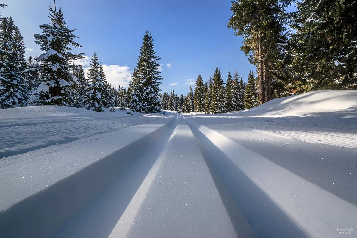 Höhenloipe Dorfberg Sexten/Sesto 1 suedtirol.info
