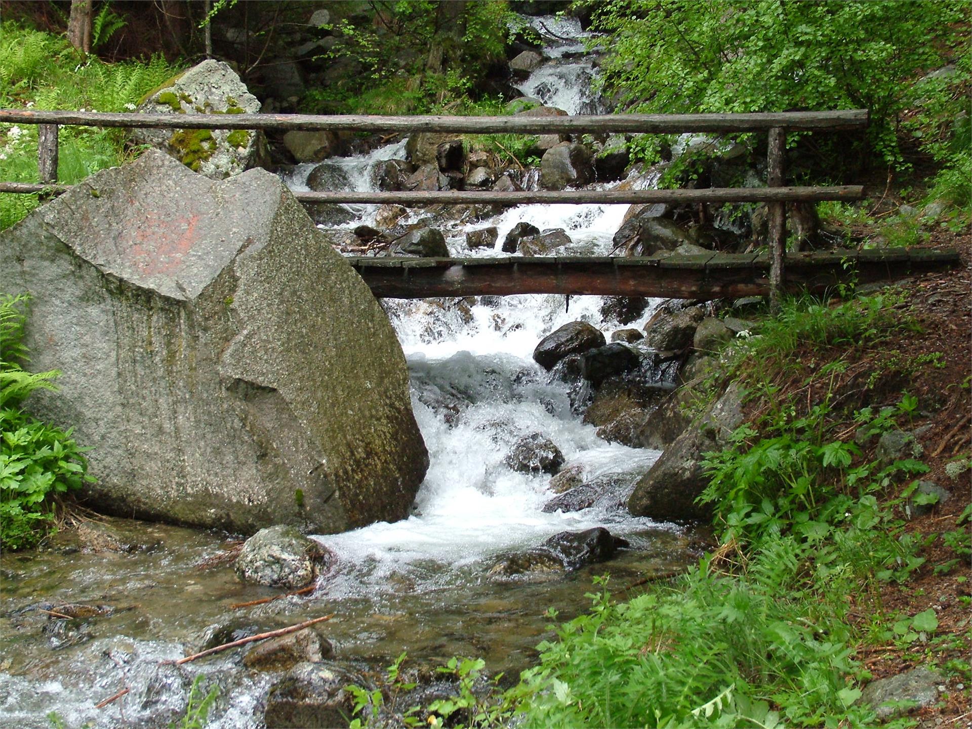 Sentiero panoramico delle erbe medicinali Spelonca in Val Scaleres Varna 3 suedtirol.info