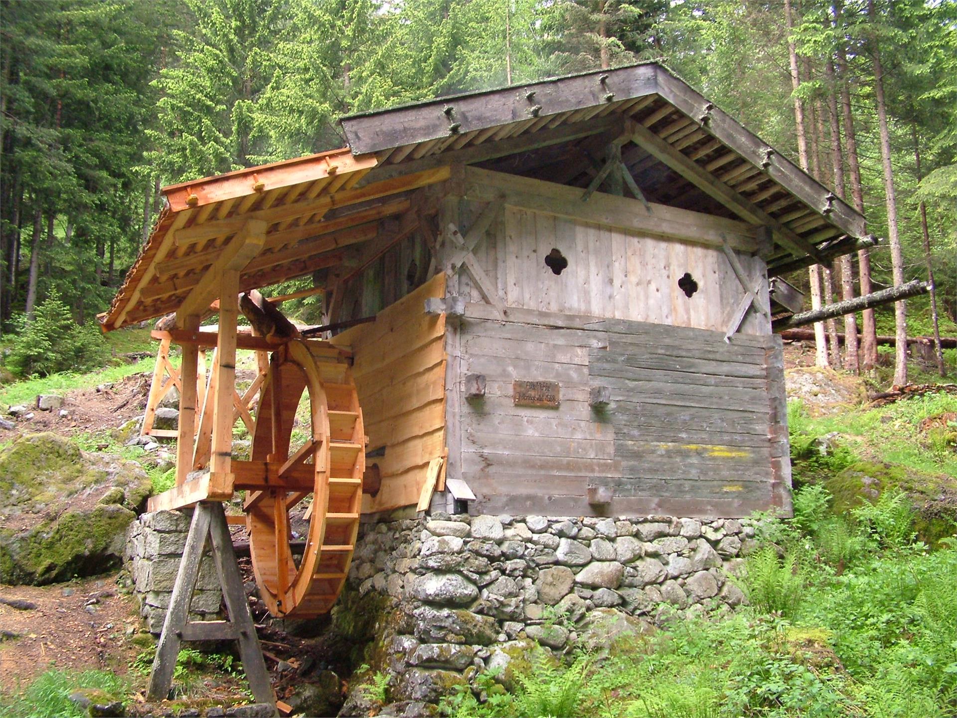 Sentiero panoramico delle erbe medicinali Spelonca in Val Scaleres Varna 2 suedtirol.info