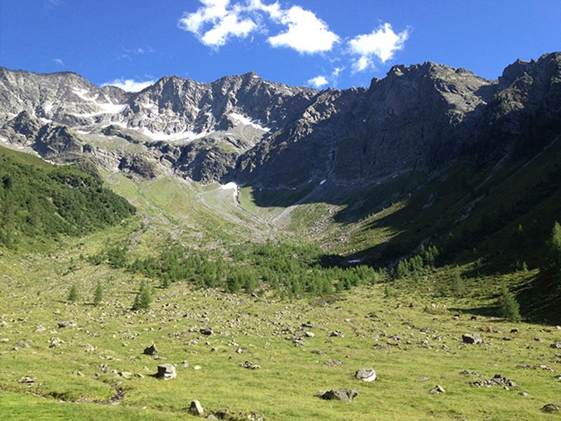 Hochfeld 2296m + Bärental 1837m Valle Aurina 1 suedtirol.info
