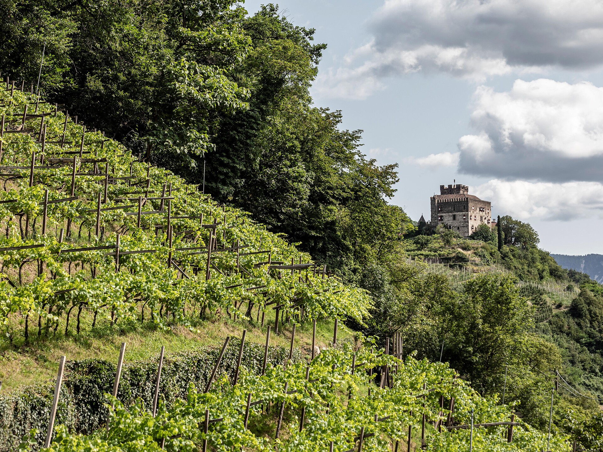 Tour maso Hecherhof - Merano e dintorni - #2 - suedtirol.info