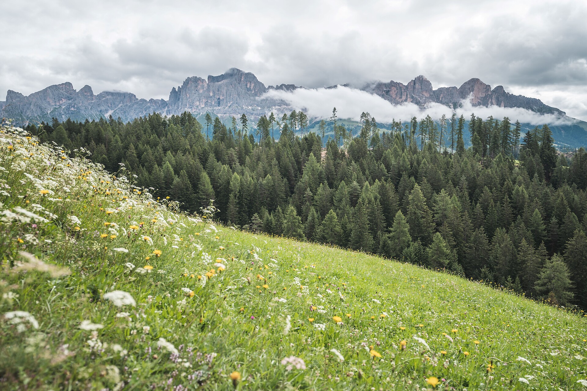 Rosengarten