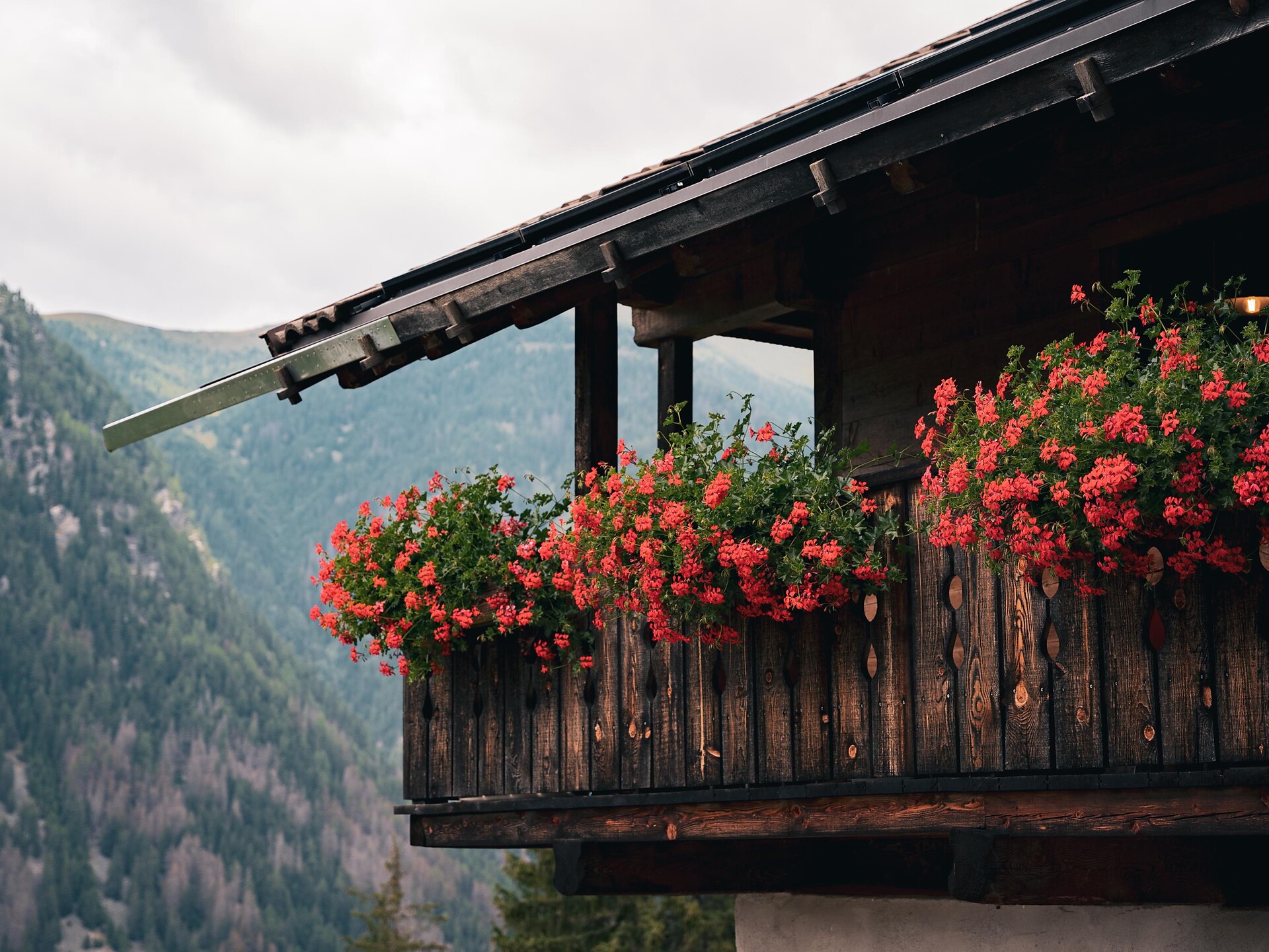 Familienwanderung zur Hofstatt Alm - Dolomitenregion Kronplatz - #10 - suedtirol.info
