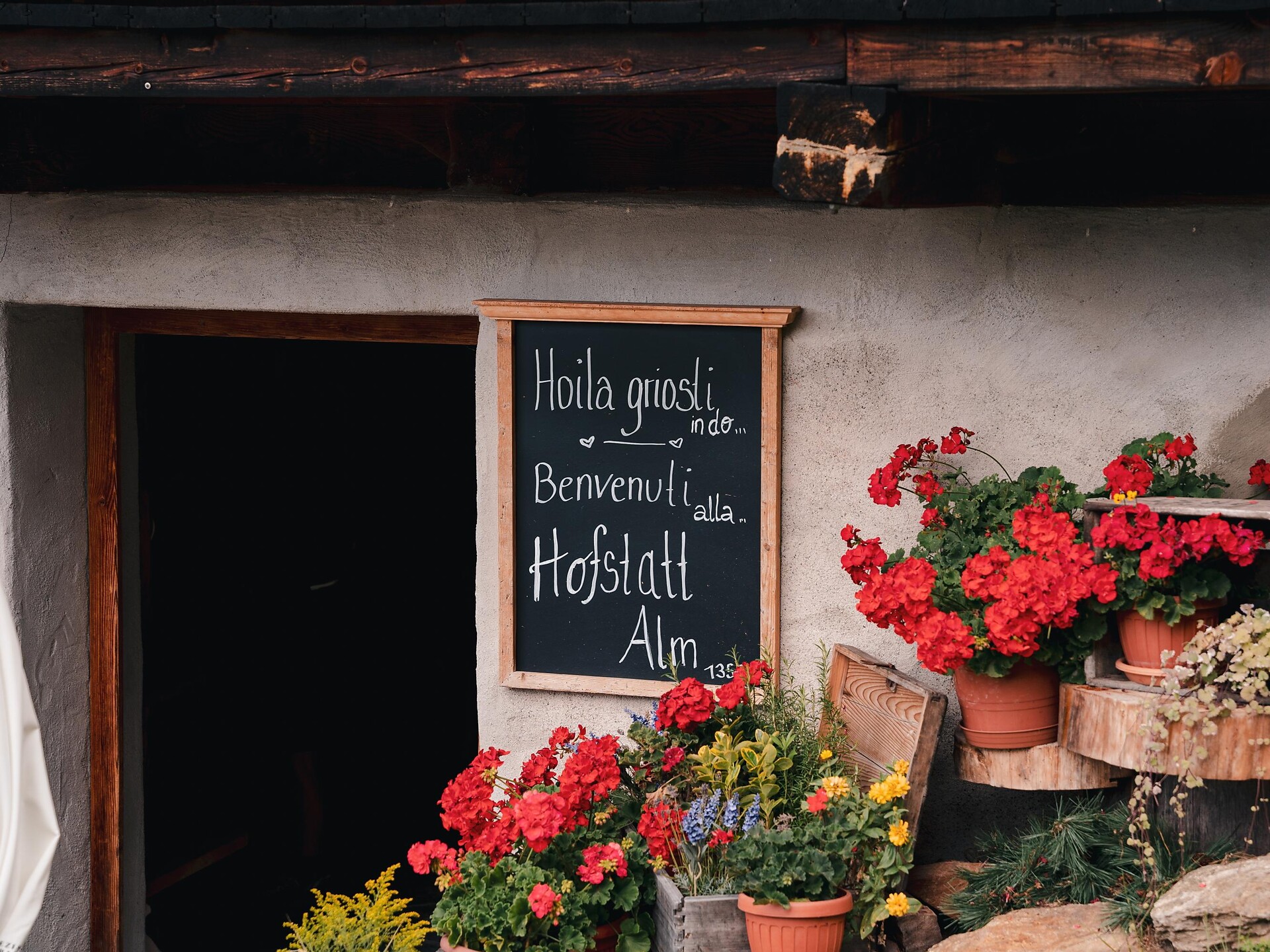 Familienwanderung zur Hofstatt Alm - Dolomitenregion Kronplatz - #5 - suedtirol.info